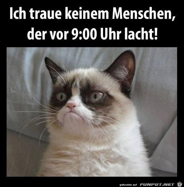 traue-keinem traue-keinem