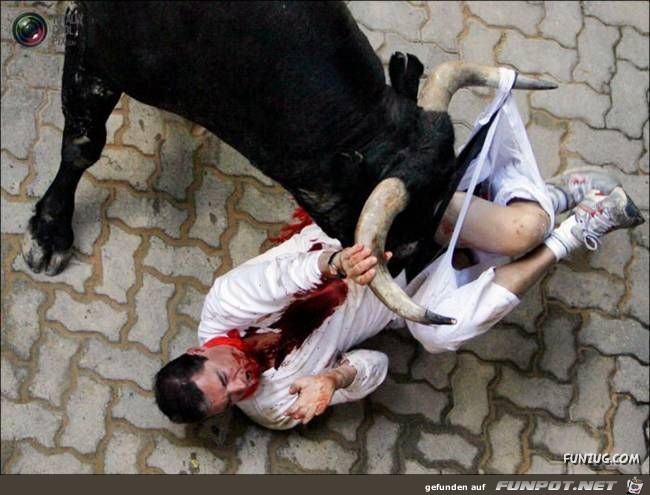 Bulls Brutal Revenge Funzug org 24 Bulls Brutal Revenge Funzug org 24