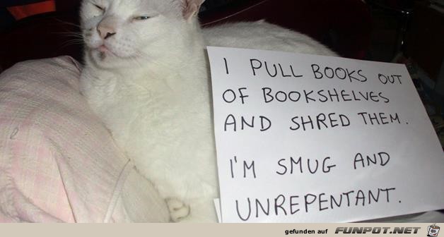 Difference Between Dogs and Cats 8 Difference Between Dogs and Cats 8