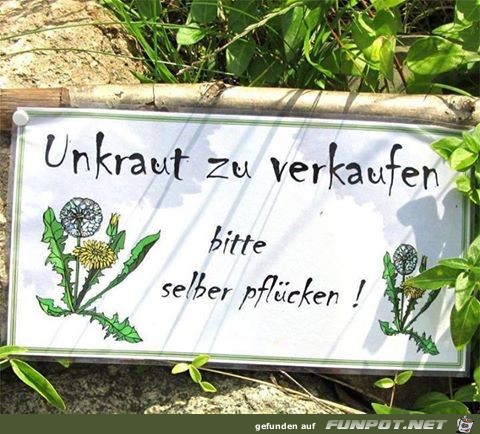 Unkraut zu verkaufen Unkraut zu verkaufen
