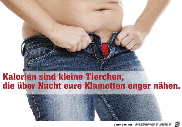Kalorien Kalorien