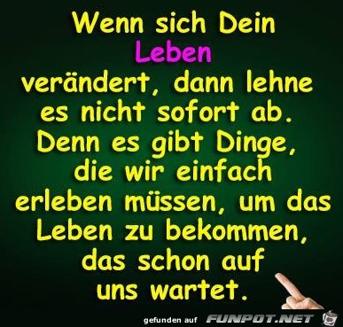 Dein Leben Dein Leben