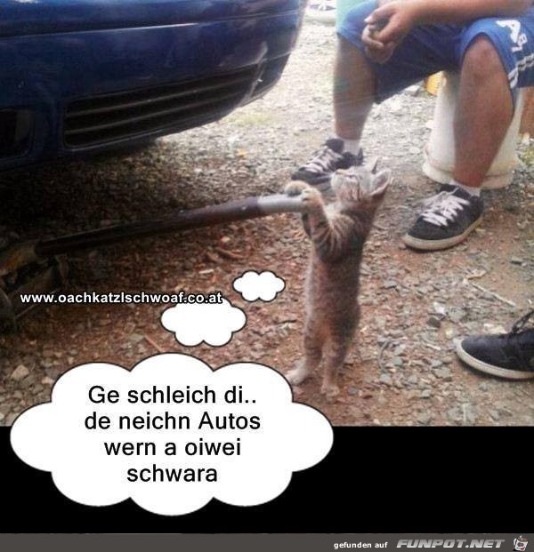 Ge schleich di Ge schleich di