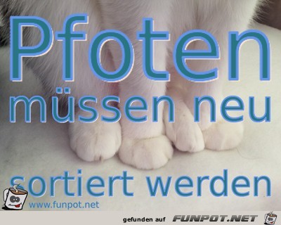 Pfotenkuddelmuddel Pfotenkuddelmuddel