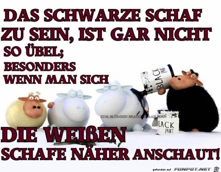Schafe Schafe
