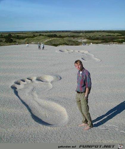 bigfoot bigfoot