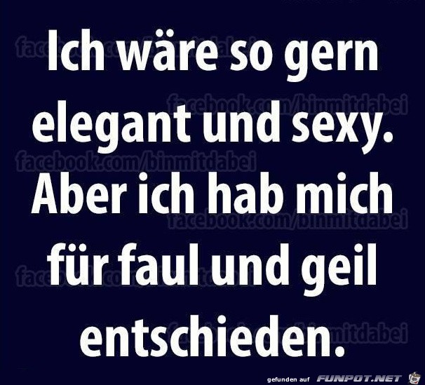 ich-waere-gern