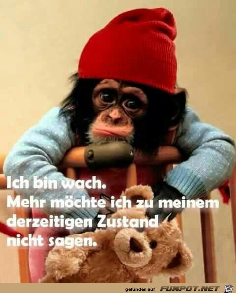 ich bin wach ich bin wach
