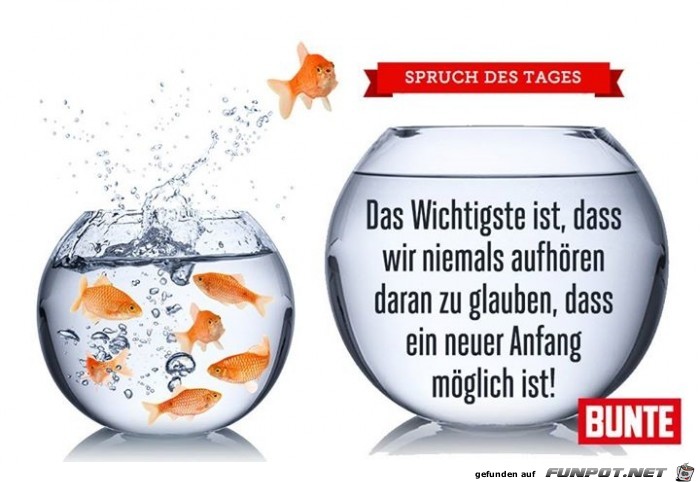 10 schne Sprche und Lebensweisheiten aus...