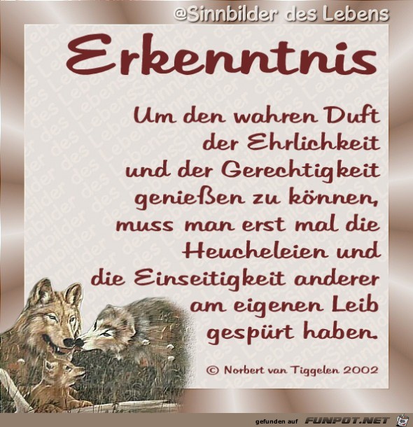 Erkenntnis 