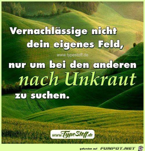 unkraut