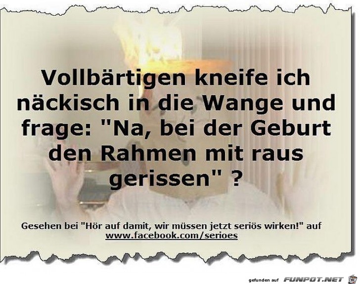 Vollbart Vollbart