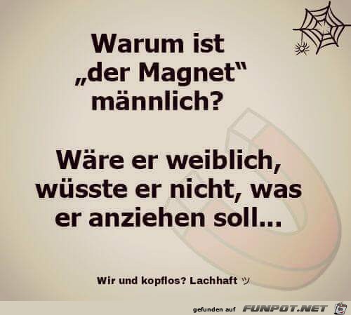 magnet magnet