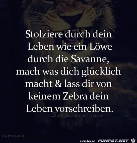 Wie ein Loewe