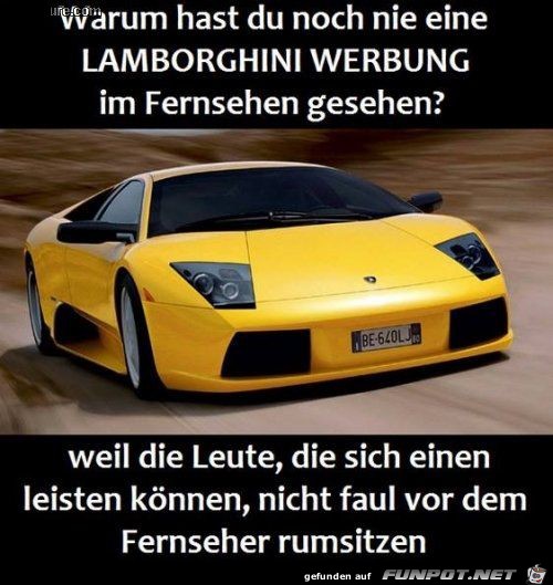 warum warum