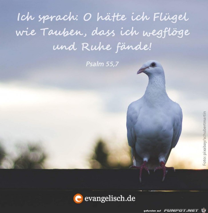 Psalm 55 7 Psalm 55 7