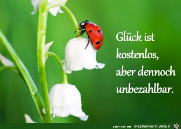 Gluck Ist Kostenlos