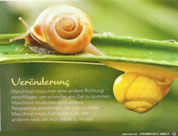 veraenderung veraenderung