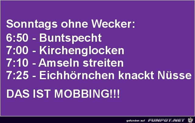 Sonntags ohne Wecker Sonntags ohne Wecker