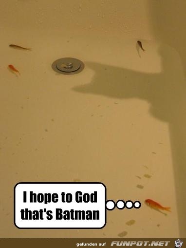 brainblog765 brainblog765