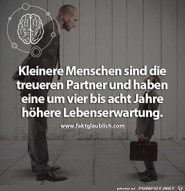 Lebenserwartung Lebenserwartung
