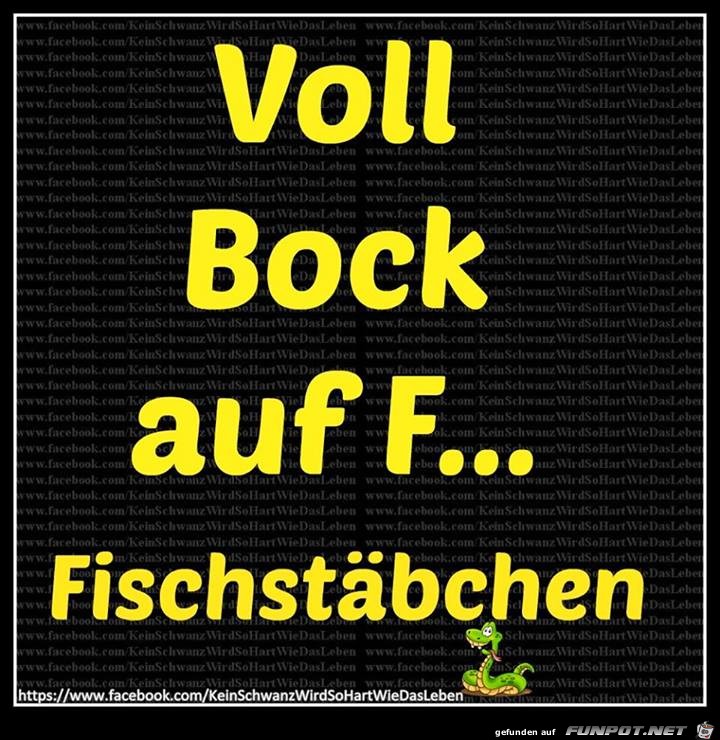 Voll Bock auf