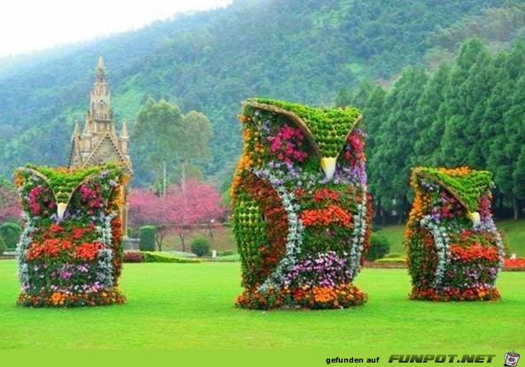 Toll angelegte Blumengrten