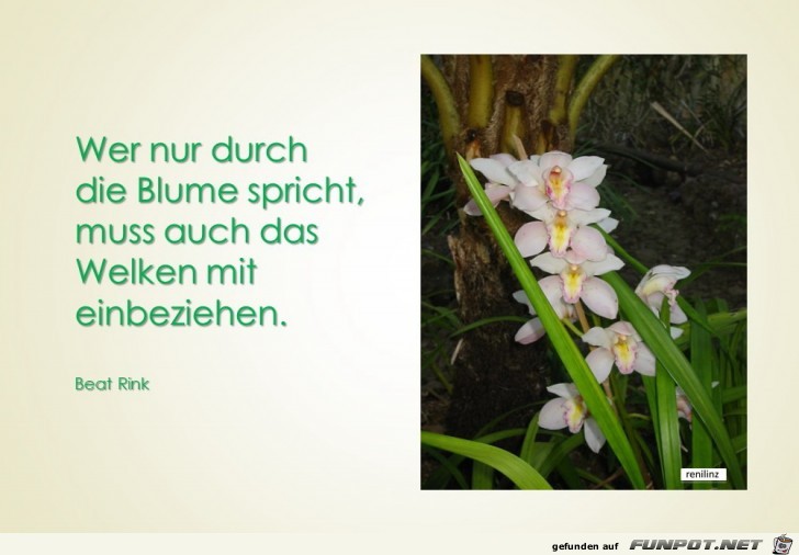 wer durch die Blume spricht