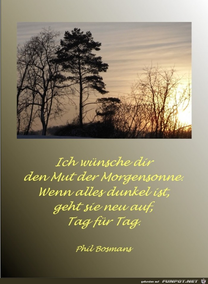 Sonne Sonne