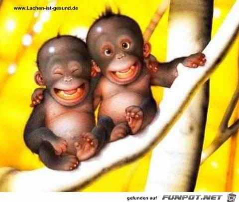 lachen ist gesund lachen ist gesund