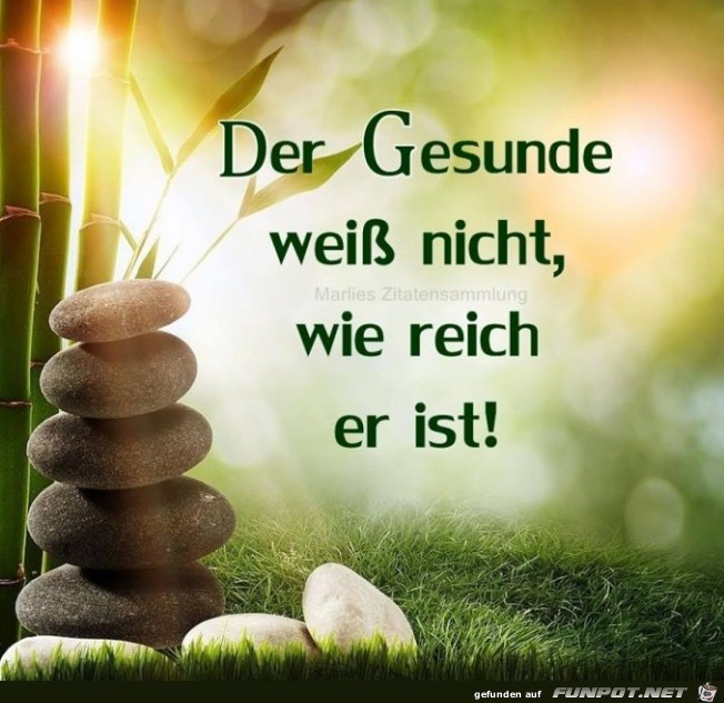 Der Gesunde