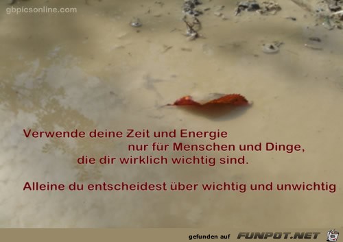 du entscheidest du entscheidest