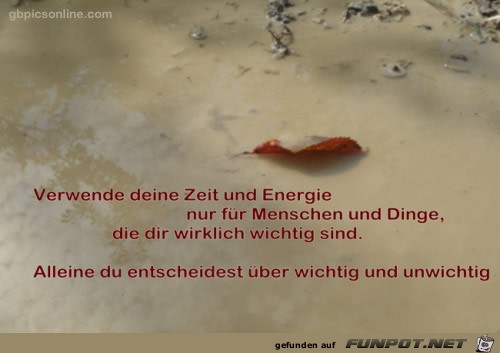 du entscheidest