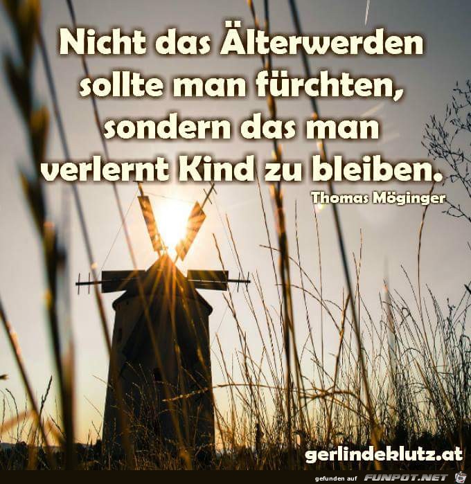 nicht das Aelterwerden nicht das Aelterwerden