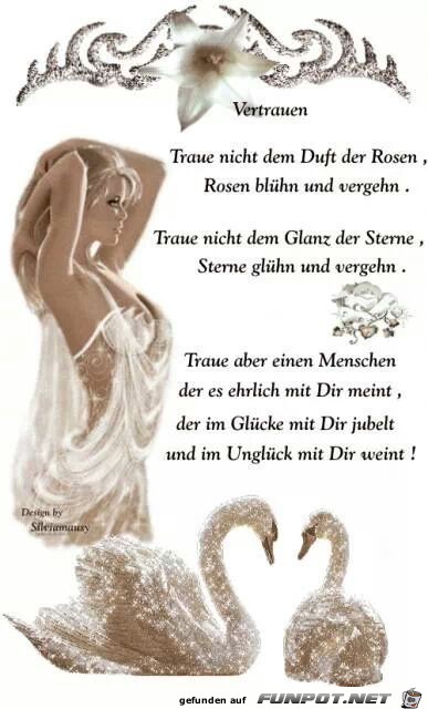 Vertrauen - Traue nicht dem Duft der Rosen... Vertrauen - Traue nicht dem Duft der Rosen...