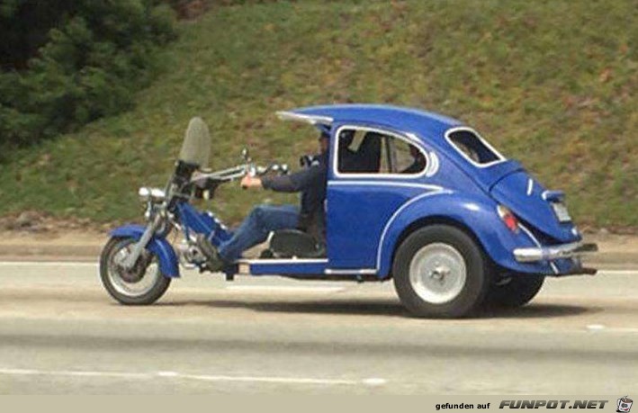 Beetle cool