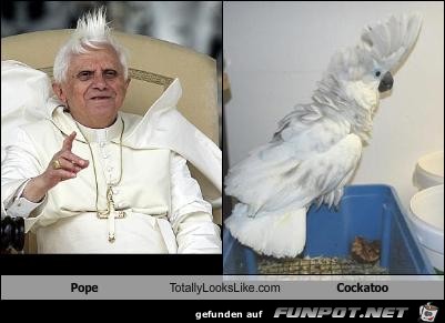 Der Papst von seiner besten Seite :-)