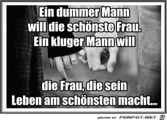 ein dummer mann