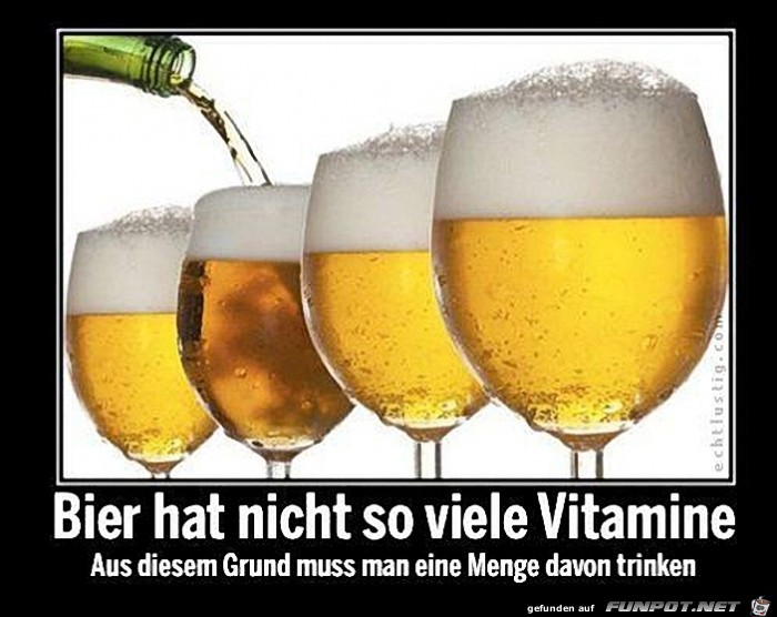 Bier