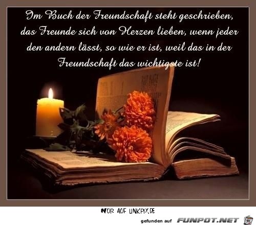 buch der freundschaft 