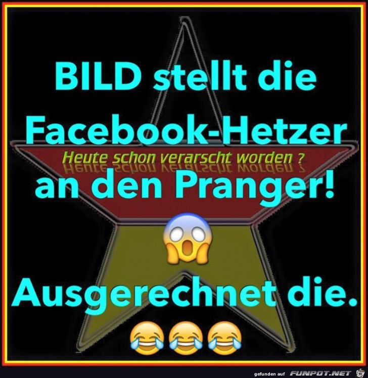 BILD und die FB-Hetzer BILD und die FB-Hetzer