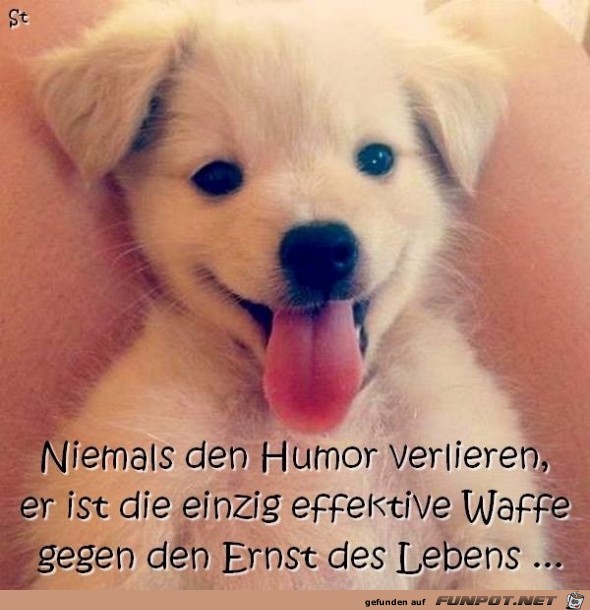 Humor Humor