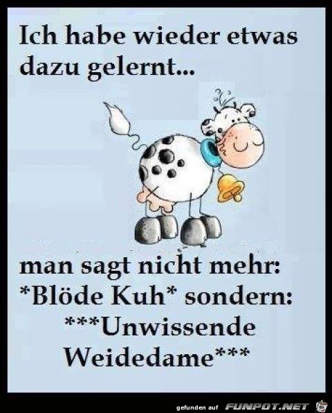 Kuh Kuh