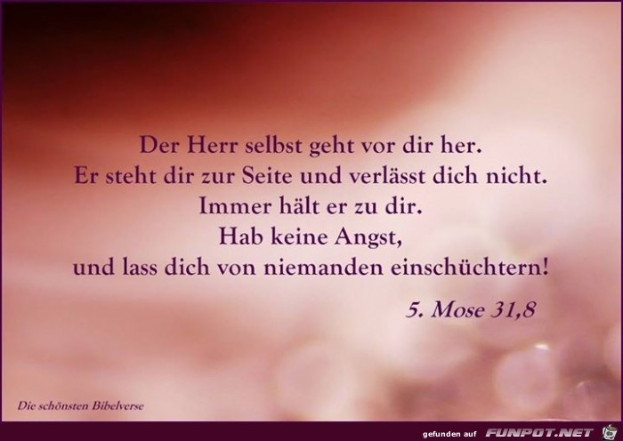 5 Mose 31 8 5 Mose 31 8
