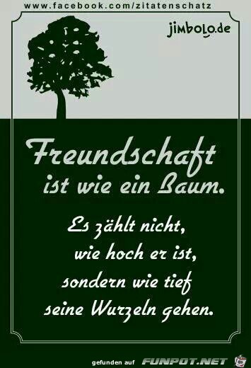 freundschaft freundschaft