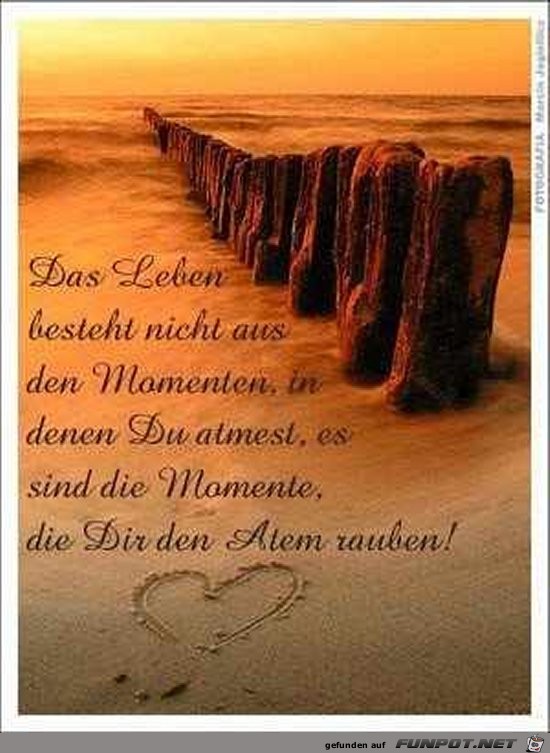 das Leben 