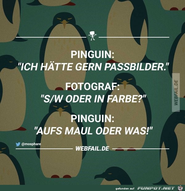 Pinguin