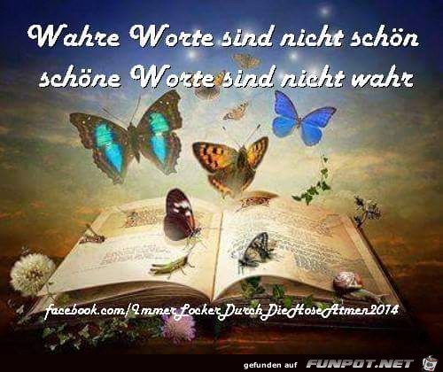 Wahre Worte Wahre Worte