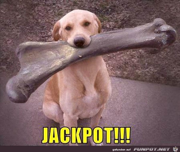 Jackpot Jackpot