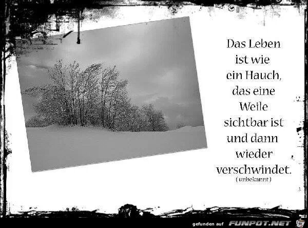 Das Leben ist wie... Das Leben ist wie...